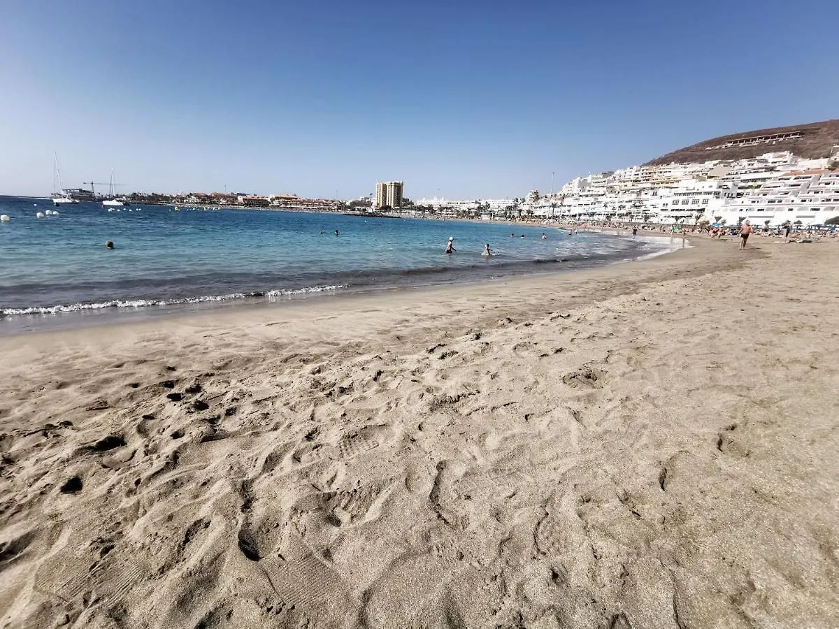 Home2Book Modern Las Americas Pool&Terrace 아로나 아파트